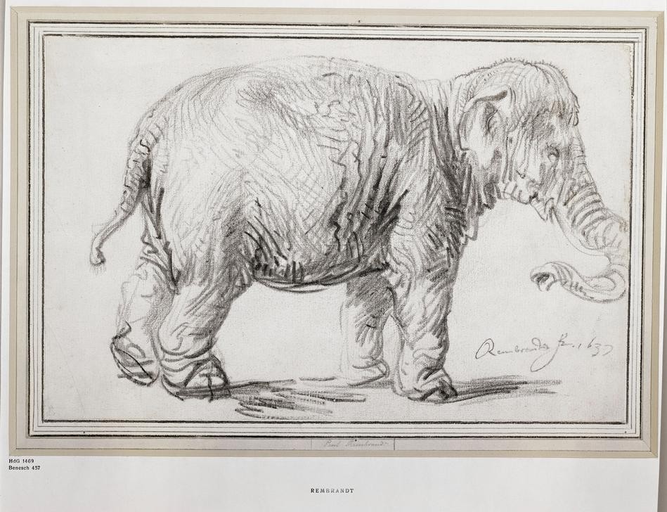Rembrandt Harmenszoon van Rijn, Ein Elefant (Elefant,Zoologie,Barock,Niederländische Kunst,Holländische Kunst,Tier)