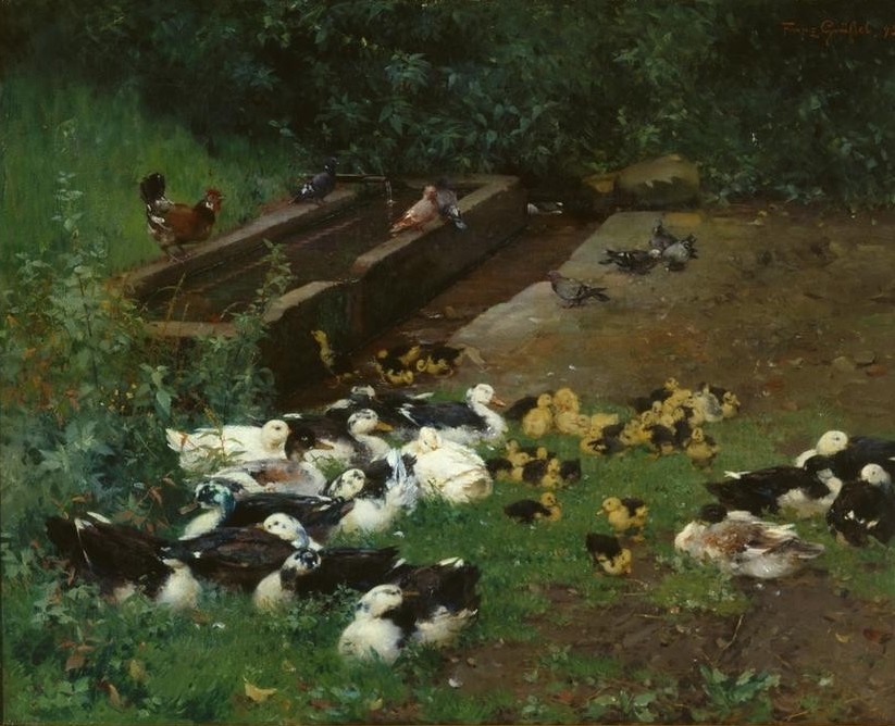 Franz GrÄssel, Entenfamilien (Deutsche Kunst,Geflügelzucht,Kunst,Vogel,Zoologie,Geflügel,Ente,Haustier,Tierleben,Tier,Ornithologie,Privatsammlung,Wasservogel)
