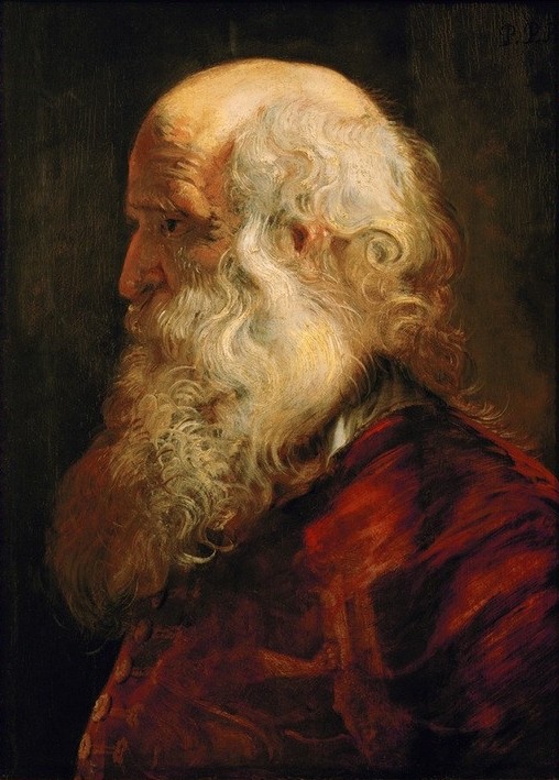 Peter Paul Rubens, Studienkopf eines Greises (Flämische Kunst,Lebensalter,Mann,Mensch,Alter,Bart,Barock,Glatze,Portrait,Greis,Studie,Niederländische Kunst,Alter Mann,Locke,Weisse Haare,Frisur)