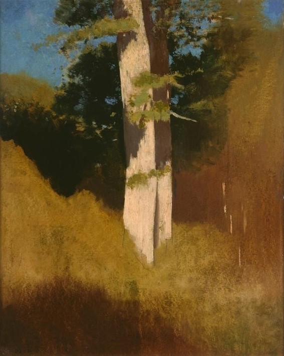 Odilon Redon, L’arbre au ciel bleu (Botanik,Kunst,Landschaft,Symbolismus,Baum,Französische Kunst,Baumstamm)