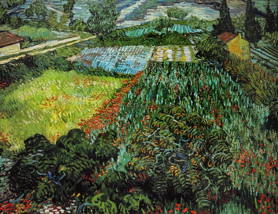 Vincent van Gogh, Mohnfeld (Ackerbau,Kunst,Landschaft,Impressionismus,Mohn,Niederländische Kunst,Feld,Holländische Kunst,Klatschmohn,Postimpressionismus,Landwirtschaft)