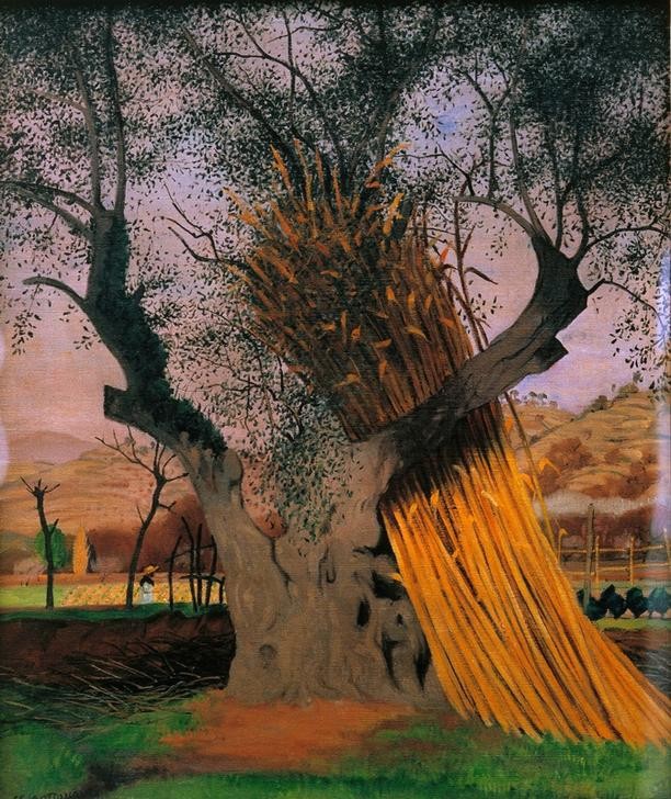 Felix Vallotton, Le vieil olivier (Botanik,Landschaft,Alter,Baum,Schweizerische Kunst,Olivenbaum)