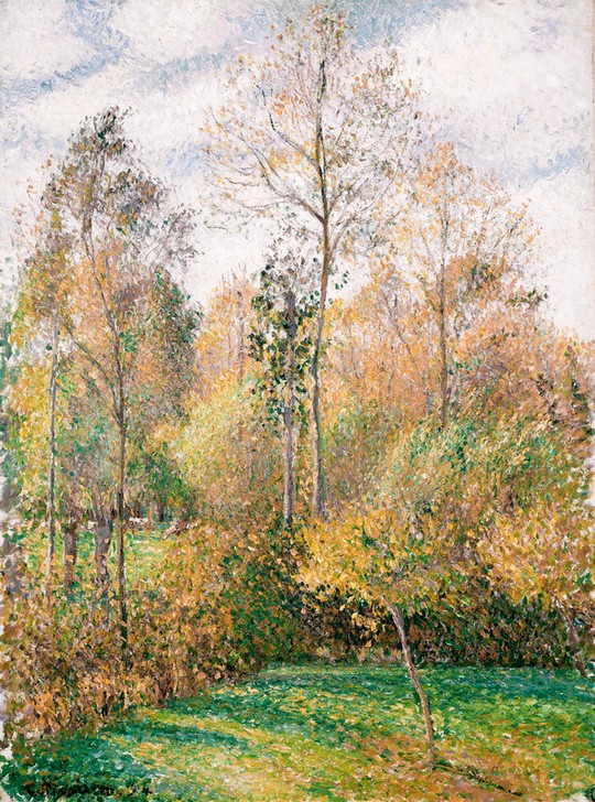 Camille Pissarro, Herbst, Pappeln, Eragny (Herbst,Jahreszeiten,Kunst,Landschaft,Impressionismus,Baum,Französische Kunst,Pappel)