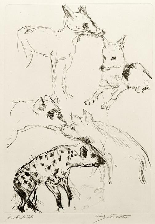 Lovis Corinth, Tierstudien (Füchse und Schakale) (Deutsche Kunst,Fuchs,Kunst,Zoologie,Studie,Tierleben,Tier,Schakal)