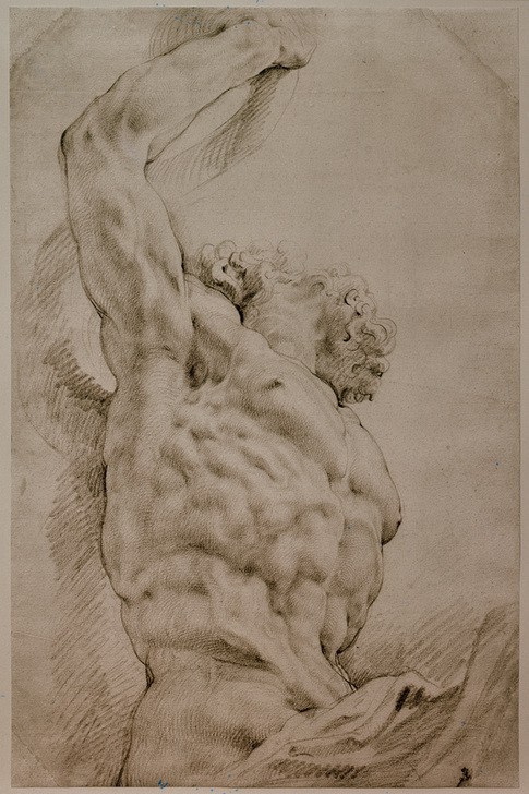 Peter Paul Rubens, Die Mittelfigur der Laokoon-Gruppe (Flämische Kunst,Mann,Mythologie,Barock,Akt,Niederländische Kunst,Antikenstudie,Antikenrezeption,Griechisch-Römische Mythologie)