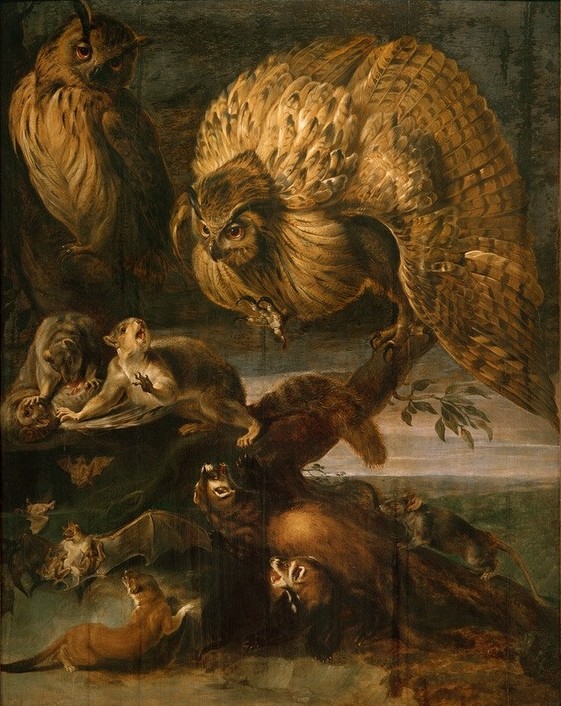 Frans Snyders, Tiere der Nacht (Eule,Fledermaus,Ratte,Schautafeln Mit Verschiedenen Tierarten,Vogel,Zoologie,Barock,Niederländische Kunst,Beute,Raubtier,Jungtier,Uhu (Vogel),Fischotter,Fressen,Säugetier,Marder,Nagetier,Fressen Und Gefressenwerden,Nachttier)