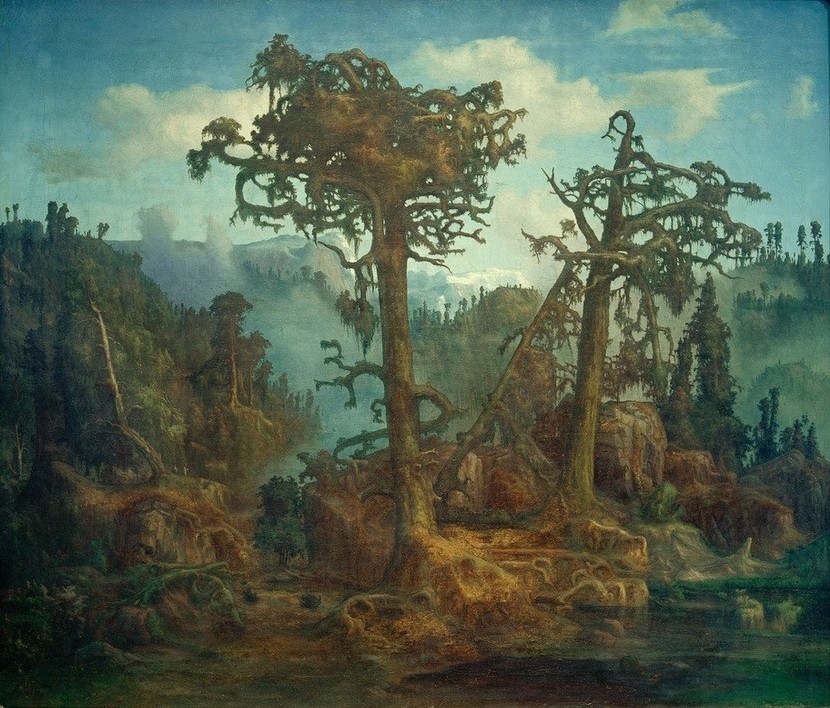 Lars Hertervig, Alte Kiefern (Kunst,Landschaft,Urwald,Wald,Kiefer (Baum),Norwegische Kunst,Romantik,Baumgruppe,Nadelbaum)