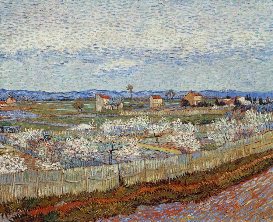 Vincent van Gogh, Blühende Pfirsichbäume (Baumblüte,Jahreszeiten,Kunst,Landschaft,Obstbau,Obstgarten,Impressionismus,Frühling,Zaun,Gartenzaun,Niederländische Kunst,Holländische Kunst,Pfirsichbaum,Obstbaum)