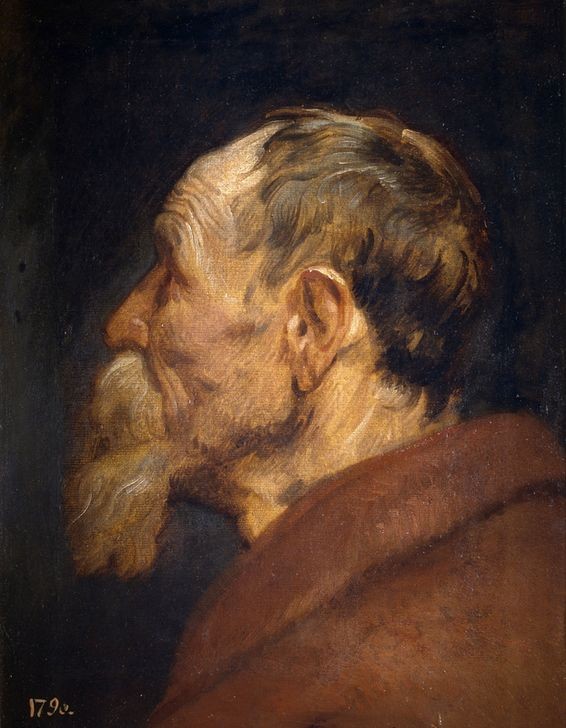 Anthonis van Dyck, Head of an Old Man (Portrait, Gesicht, Bildnis, alter Mann, Falten, Bart, Profil, Barock, Klassiker, Wunschgröße, Wohnzimmer)