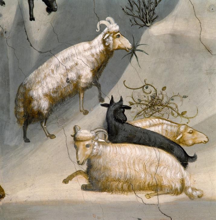 Giotto di Bondone, Der Traum des Joachim (Schafe, schwarzes Schaf, Detail, Klassiker, Gotik, Religion, Christentum, Malerei, Wunschgröße, Schlafzimmer, Wohnzimmer, bunt)