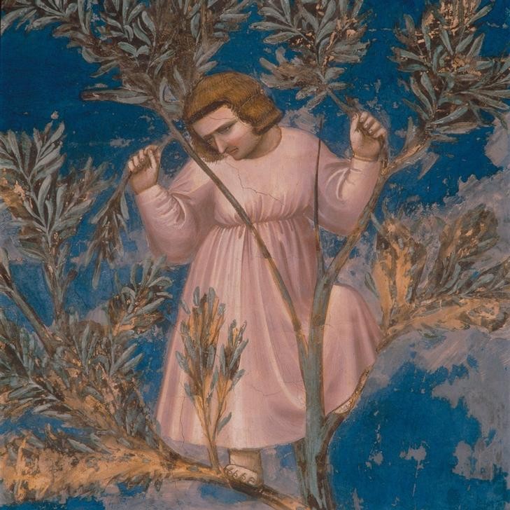 Giotto di Bondone, Der Einzug in Jerusalem (Mensch, Baum, Zuschauer, Schaulustiger, Klassiker, Gotik, Religion, Christentum, Neues Testament, Malerei, Detail, Wunschgröße, Schlafzimmer, Wohnzimmer, bunt)