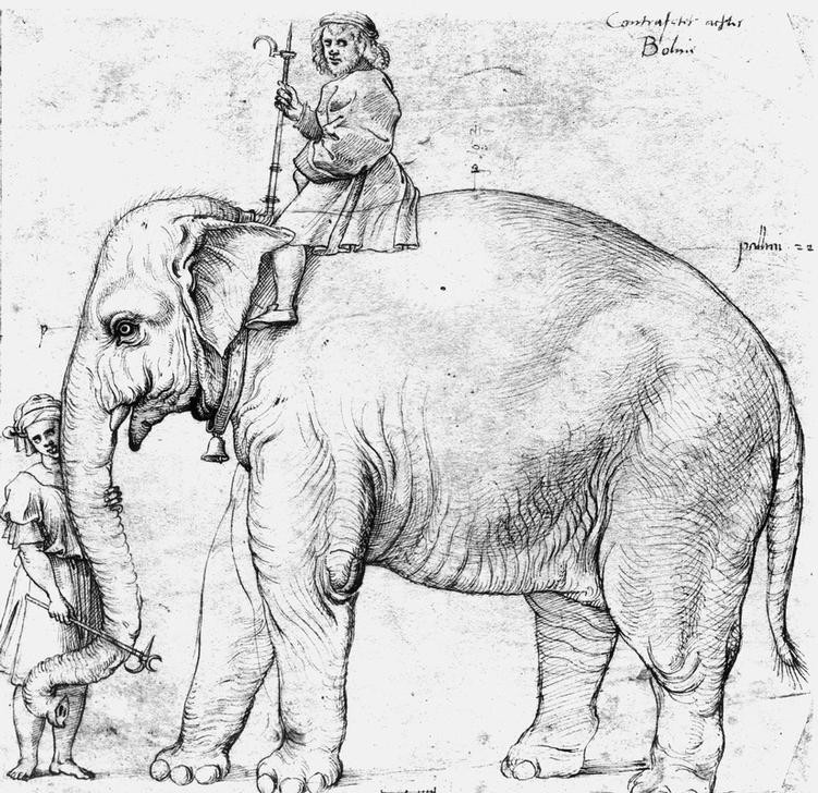 Raffael, Papst Leos Elefant Hanno mit Reiter und Wärter (Beruf,Elefant,Geschichte,Mann,Zoologie,Reiter,Renaissance,Geschenk,Italienische Kunst,Tierpfleger,Exotik,Tier,Reiten,Säugetier)