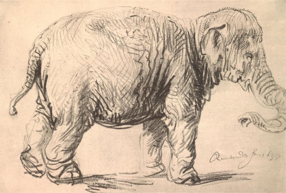 Rembrandt Harmenszoon van Rijn, Ein Elefant (Elefant,Zoologie,Barock,Niederländische Kunst,Holländische Kunst,Tier)