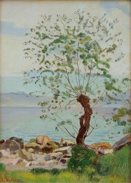 Ferdinand Hodler, Weidenbaum am See (Landschaft,Weide,See,Baum,Schweizerische Kunst)