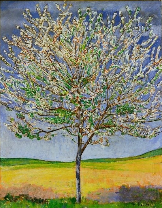 Ferdinand Hodler, Blühender Kirschbaum (Baumblüte,Jahreszeiten,Jugendstil,Landschaft,Frühling,Baum,Schweizerische Kunst,Kirschbaum,Blüte,Kirschblüte)
