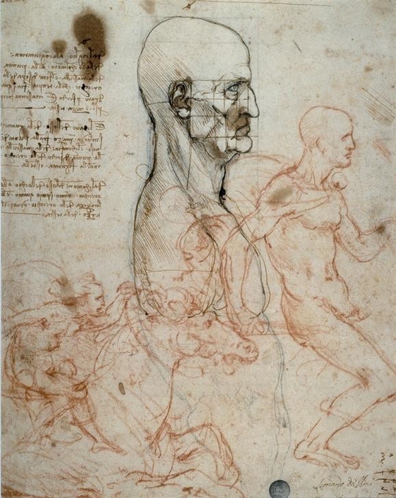 Leonardo da Vinci, Proportionsschema des menschlichen Kopfes und Reiterstudien (Anatomie, Mensch, Pferd  Proportion, Reiter, Notizen, Handschrift, Klassiker, Zeichnung, Wohnzimmer, Arztpraxis, Wunschgröße)