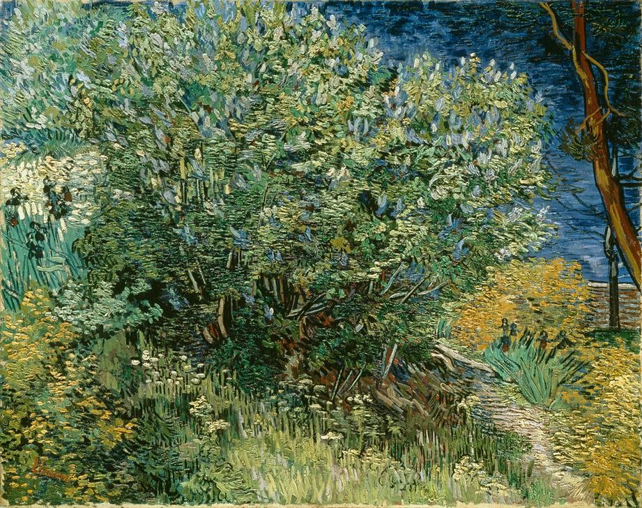 Vincent van Gogh, Fliederstrauch (Baumblüte,Botanik,Jahreszeiten,Kunst,Landschaft,Mai,Monat,Impressionismus,Frühling,Flieder,Niederländische Kunst,Holländische Kunst,Strauch)