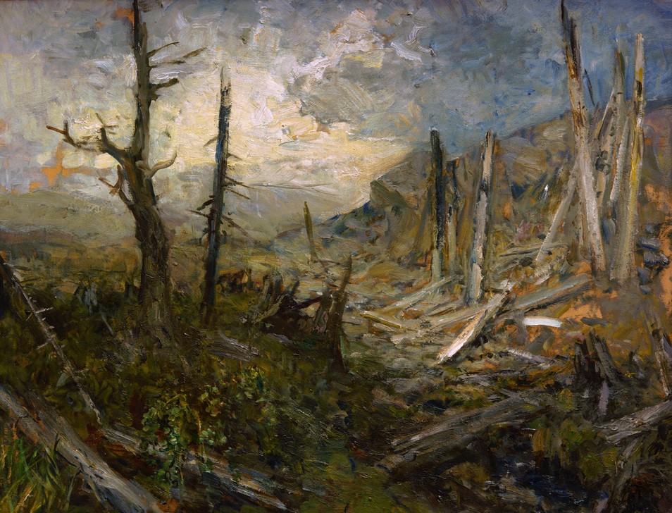 Marie Egner, Windbruch auf der Koralpe  (Natur)