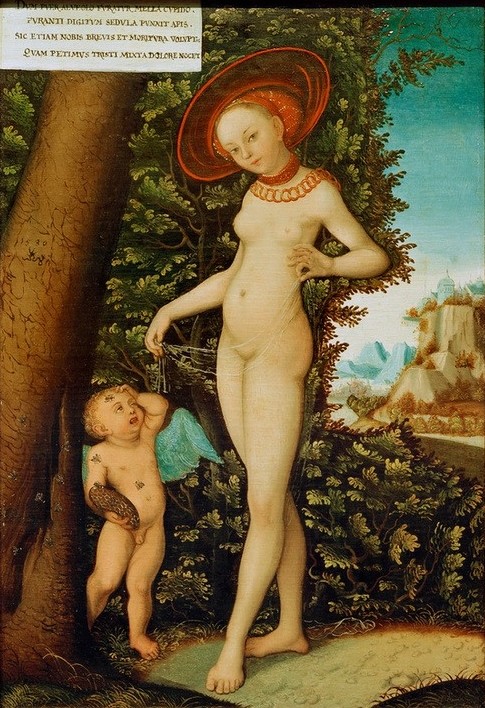 Lucas Cranach der Ältere, Venus und Amor als Honigdieb (Damenhut,Deutsche Kunst,Frau,Landschaft,Mythologie,Schmuck,Hut,Renaissance,Schleier,Akt,Halskette,Honig,Biene,Imkerei,Griechisch-Römische Mythologie)