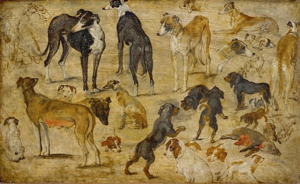 Jan Brueghel der Ältere, Tierstudien (Zoologie,Barock,Hund,Studie,Niederländische Kunst,Tier,Tierstudie)