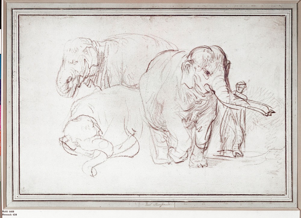 Rembrandt Harmenszoon van Rijn, Drei Elefanten (Elefant,Zoologie,Barock,Niederländische Kunst,Holländische Kunst,Tier,Säugetier,Tierstudie)