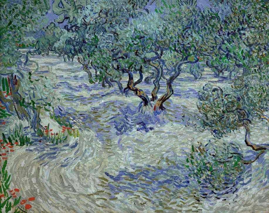 Vincent van Gogh, Olivenhain (Kunst,Landschaft,Olivenhain,Impressionismus,Baum,Niederländische Kunst,Holländische Kunst,Olivenbaum,Postimpressionismus,Landwirtschaft)