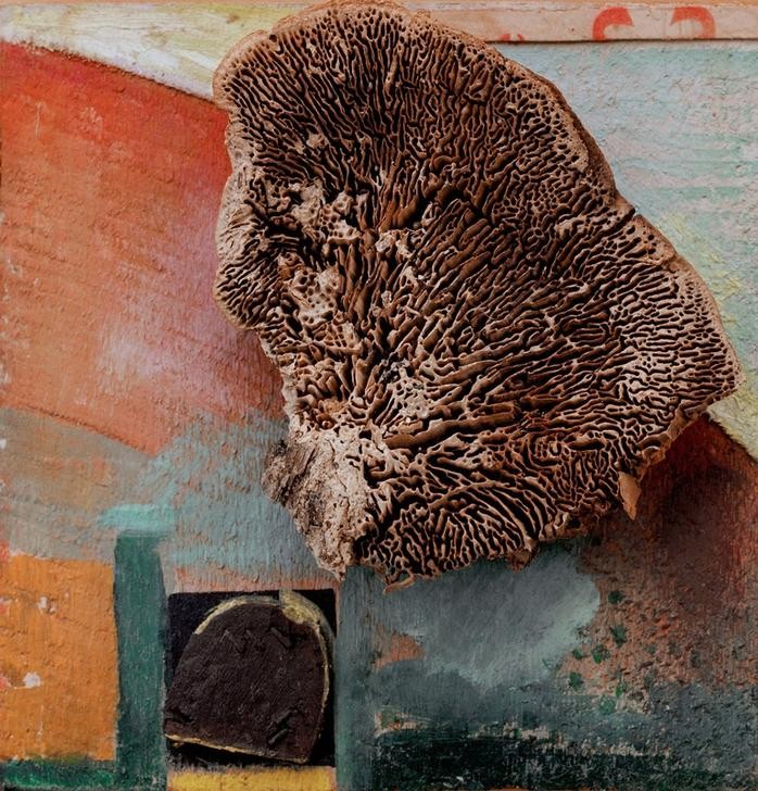 Kurt Schwitters, Ohne Titel (Merzbild mit Koralle) (Dadaismus,Deutsche Kunst,Kunst,Koralle)