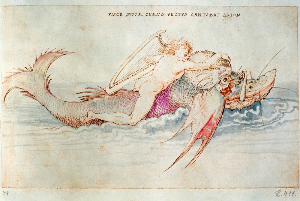 Albrecht Dürer, Arion wird von einem Delphin gerettet (Delphin,Deutsche Kunst,Dichterleben,Harfe,Dichter,Mythologie,Meer,Renaissance,Tierliebe,Tier,Lebensrettung,Griechisch-Römische Mythologie)