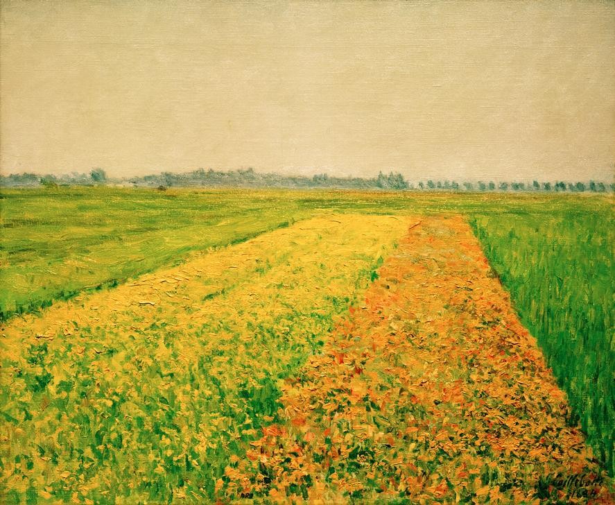 Gustave Caillebotte, La plaine de Gennevilliers, champs jaunes (Ackerbau,Kunst,Landschaft,Impressionismus,Ebene,Französische Kunst,Feld,Raps,Landwirtschaft,Signatur)