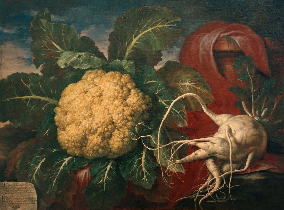 Bartolomeo Bimbi, Gigantischer Kohl und Meerrettisch (Botanik,Gemüse,Kunst,Meerrettich,Riesenwuchs,Barock,Nahrungsmittel,Stillleben,Italienische Kunst,Kohl,Rettich (Botanik),Blumenkohl)