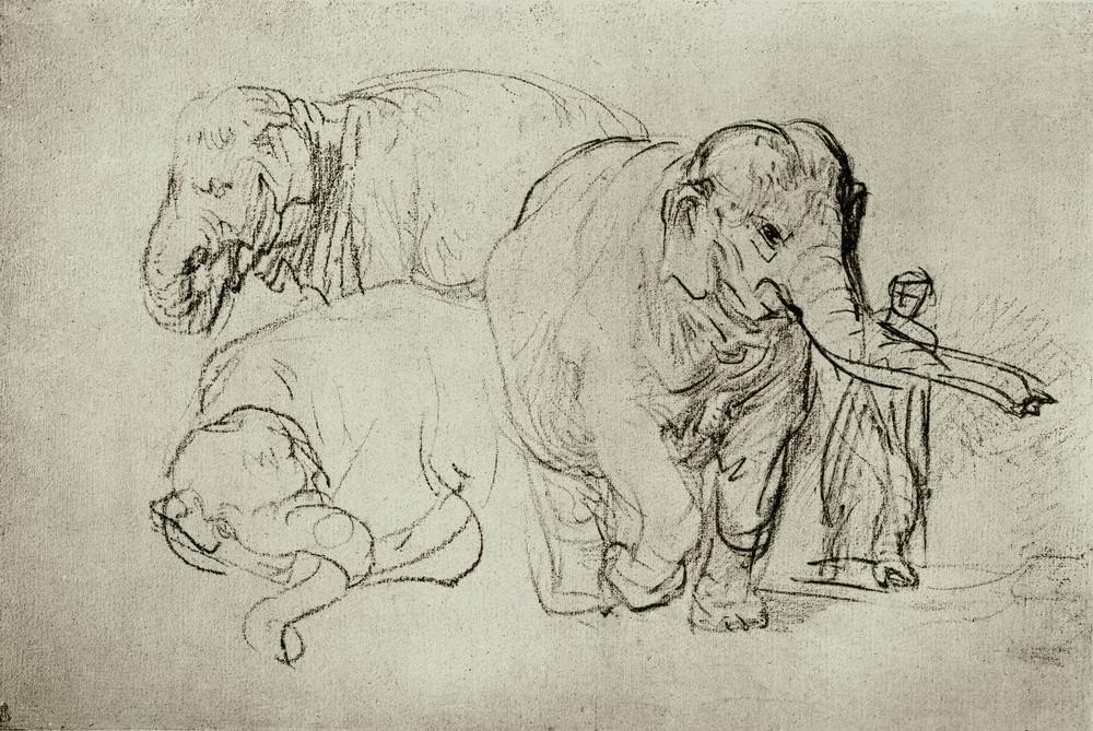 Rembrandt Harmenszoon van Rijn, Drei Elefanten (Elefant,Zoologie,Barock,Niederländische Kunst,Holländische Kunst,Tier,Säugetier,Tierstudie)