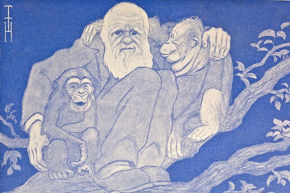 Thomas Theodor Heine, Illustration Darwin mit Affen Detail (Karikatur,Kunst)