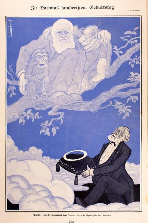 Thomas Theodor Heine, Illustration von Charles Darwin im himmlischen Baum mit jungem Schimpansen (Karikatur,Kunst)