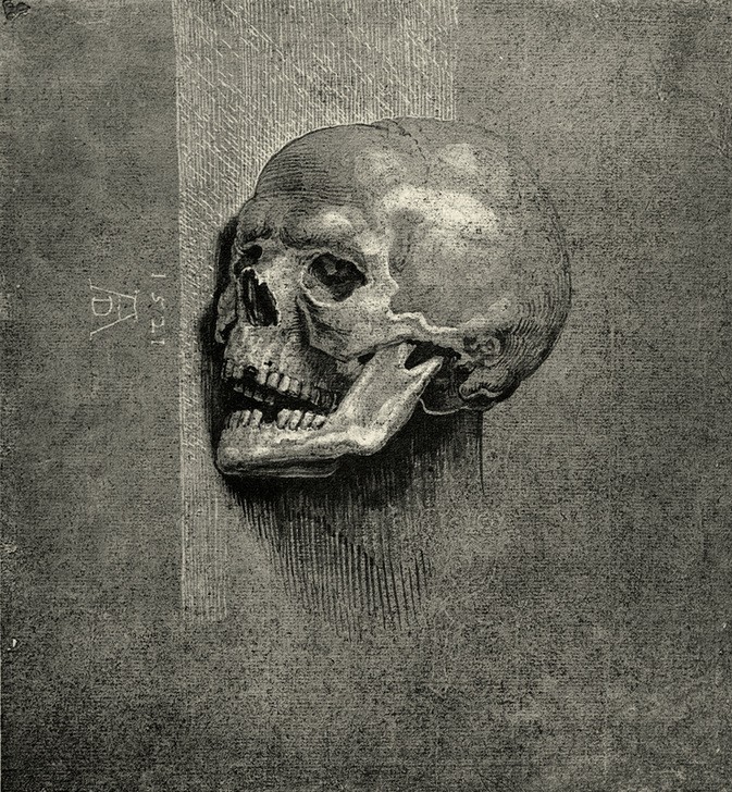 Albrecht Dürer, Ein Totenkopf (Anatomie,Deutsche Kunst,Kunst,Medizin,Renaissance,Schädel,Totenkopf,Kopf)