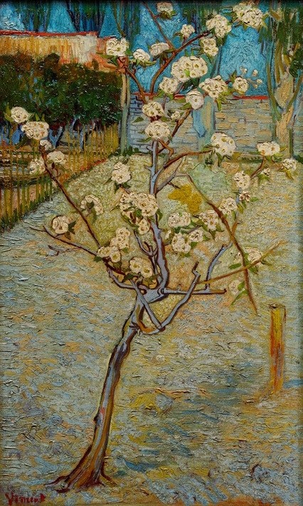 Vincent van Gogh, Birnenbaum in Blüte (Baumblüte,Garten Und Park,Jahreszeiten,Kunst,Landschaft,Impressionismus,Frühling,Baum,Niederländische Kunst,Blüte,Birnbaum,Obstbaum,Garten)