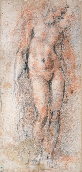 MICHELANGELO BUONARROTI, Aktstudie einer stehenden Frau (Frau,Kunst,Renaissance,Akt,Italienische Kunst,Aktstudie,Ganzfigurig,Hochrenaissance)