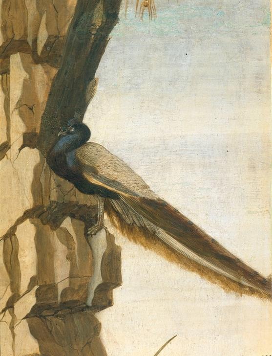 Sandro Botticelli, Die Anbetung der Könige (Vogel, Pfau, Tier, Felsen, Anbetung Der Könige, Neues Tesament, Religion, Renaissance, Klassiker, Treppenhaus, Wohnzimmer, Wunschgröße, Ausschnitt, Detail, bunt)