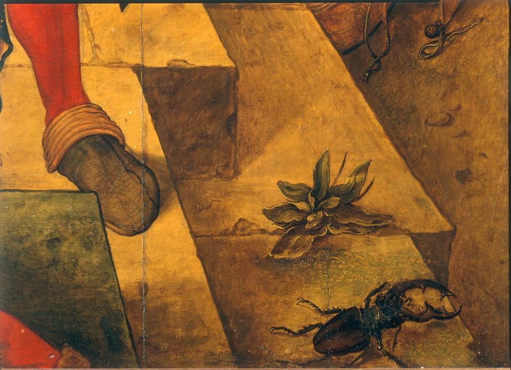 Albrecht Dürer, Anbetung der Könige (Biologie,Botanik,Deutsche Kunst,Entomologie,Kunst,Schuhe (Schuh),Zoologie,Renaissance,Insekt,Anbetung Der Könige,Hirschkäfer,Wegerich,Pflanze,Ausschnitt)