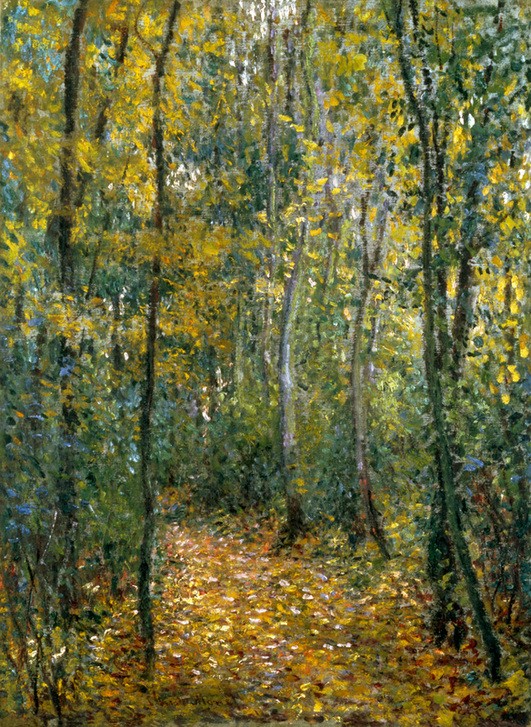 Claude Monet, Sousbois (Kunst,Landschaft,Wald,Laubwald,Impressionismus,Französische Kunst,Waldweg)