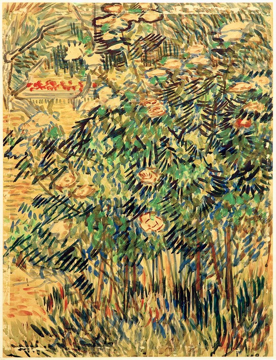 Vincent van Gogh, Blühender Busch im Park der Heilanstalt (Garten Und Park,Kunst,Landschaft,Impressionismus,Niederländische Kunst,Holländische Kunst,Strauch,Zierstrauch)
