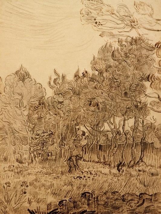 Vincent van Gogh, Im Park der Heilanstalt (Garten Und Park,Kunst,Landschaft,Park,Impressionismus,Niederländische Kunst,Holländische Kunst,Pinie)