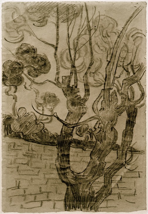 Vincent van Gogh, Pinie und Mauer im Park (Kunst,Landschaft,Impressionismus,Baum,Studie,Naturstudie,Niederländische Kunst,Holländische Kunst,Pinie)