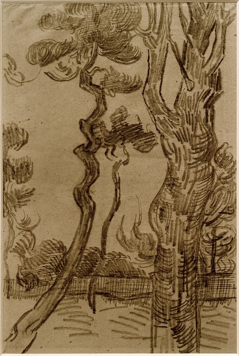 Vincent van Gogh, Pinie im Park (Kunst,Landschaft,Impressionismus,Baum,Studie,Naturstudie,Niederländische Kunst,Holländische Kunst,Pinie)