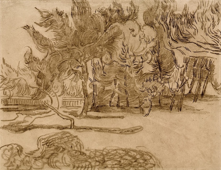 Vincent van Gogh, Piniengruppe im Park (Kunst,Landschaft,Impressionismus,Baum,Studie,Naturstudie,Niederländische Kunst,Holländische Kunst,Pinie)