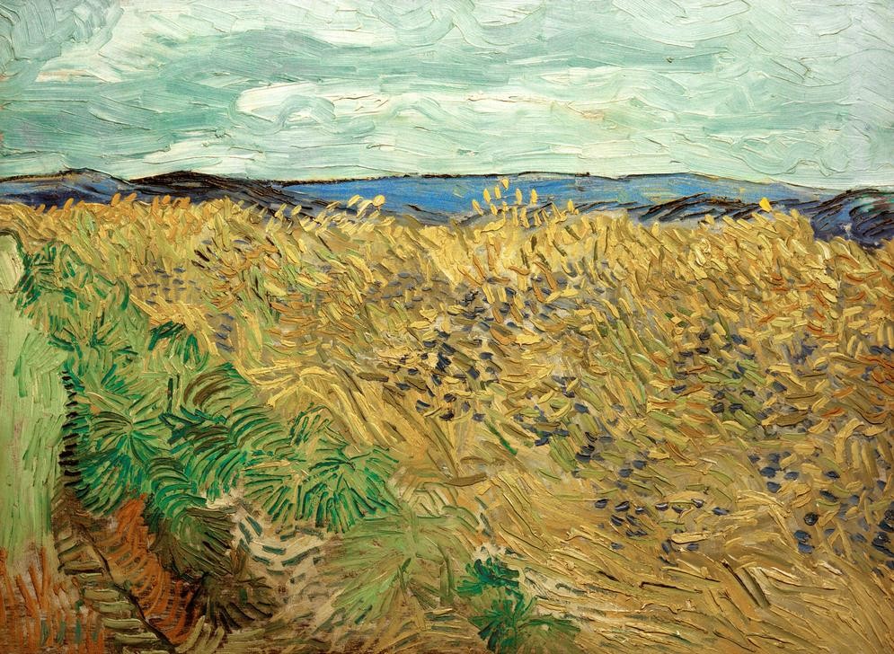 Vincent van Gogh, Feld, mit Kornblumen (Ackerbau,Getreideanbau,Kunst,Landschaft,Weizen,Kornblume,Impressionismus,Getreide,Niederländische Kunst,Feld,Holländische Kunst,Getreidefeld,Postimpressionismus,Landwirtschaft,Korn (Getreide))