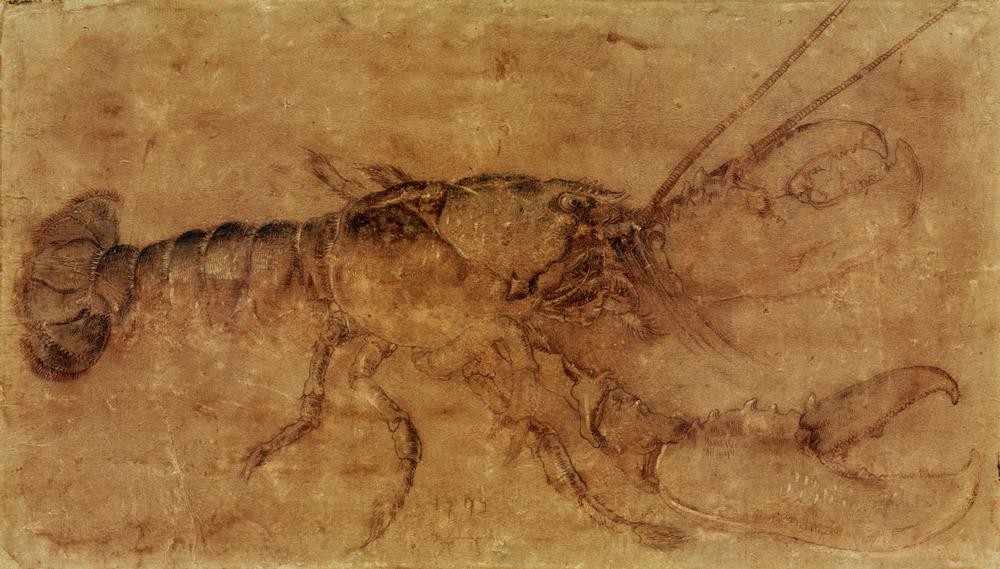 Albrecht Dürer, Hummer (Biologie,Deutsche Kunst,Kunst,Zoologie,Renaissance,Krebs (Tier),Naturstudie,Hummer,Tier,Tierstudie)