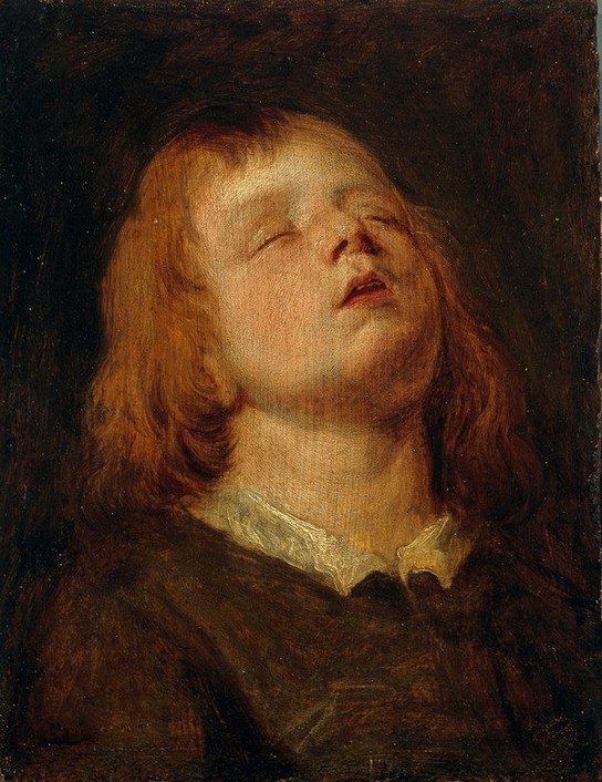 Anthonis van Dyck, Kopf eines schlafenden Knaben (Kind, Portrait, Gesicht, Knabe, Kopf, Schlafen, Barock, Klassiker, Wunschgröße, Wohnzimmer)