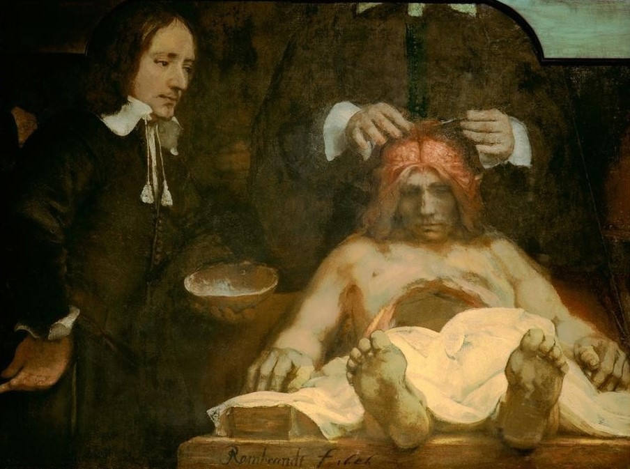 Rembrandt Harmenszoon van Rijn, Die Anatomie des Dr. Johan Deijman (Anatomie,Kunst,Leiche,Medizin,Pädagogik,Sektion,Universität,Vorlesung,Barock,Chirurgie,Fragment,Scorcio,Niederländische Kunst,Holländische Kunst,Pathologie,Assistenzarzt,Schädelschale)