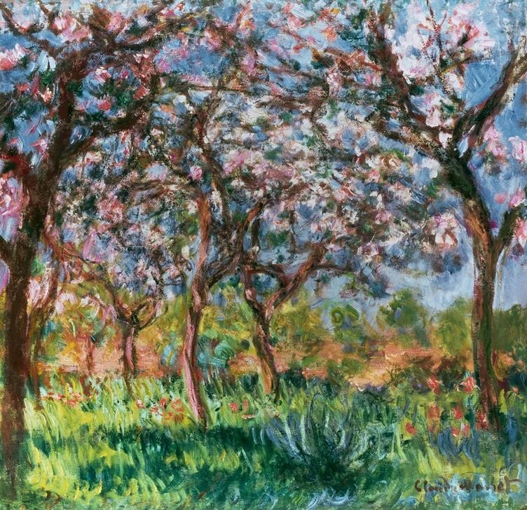 Claude Monet, Printemps à Giverny (Baumblüte,Jahreszeiten,Kunst,Landschaft,Obstbau,Obstgarten,Impressionismus,Frühling,Baum,Hausgarten,Französische Kunst,Apfelbaum,Obstbaum,Garten)