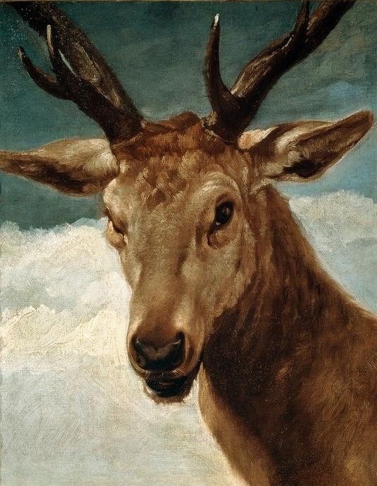 Diego Rodriguez de Silva y Velasquez, Hirschkopf (Hirsch,Kunst,Zoologie,Barock,Spanische Kunst,Rotwild,Kopf)